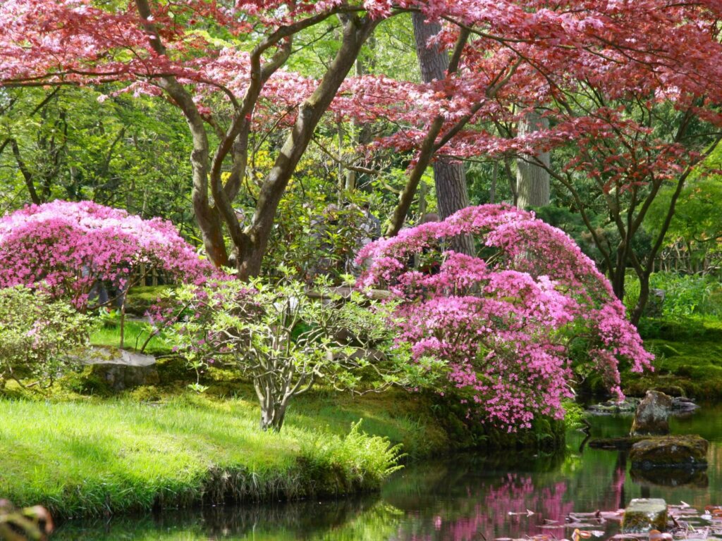 Supertuin
