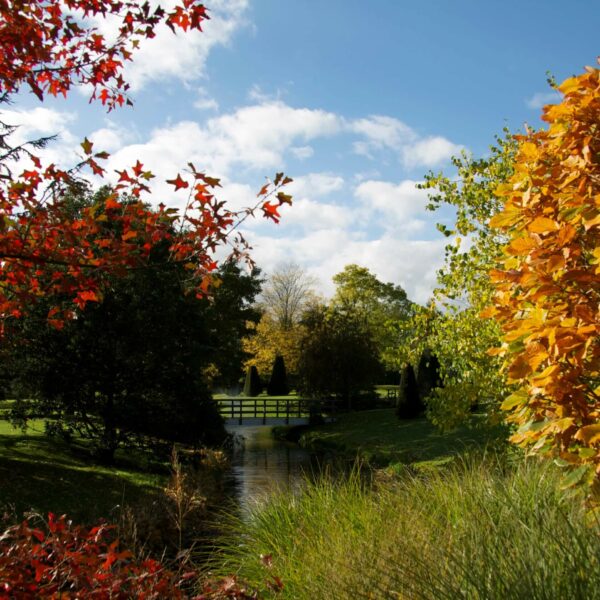 herfst in Zwijndrecht