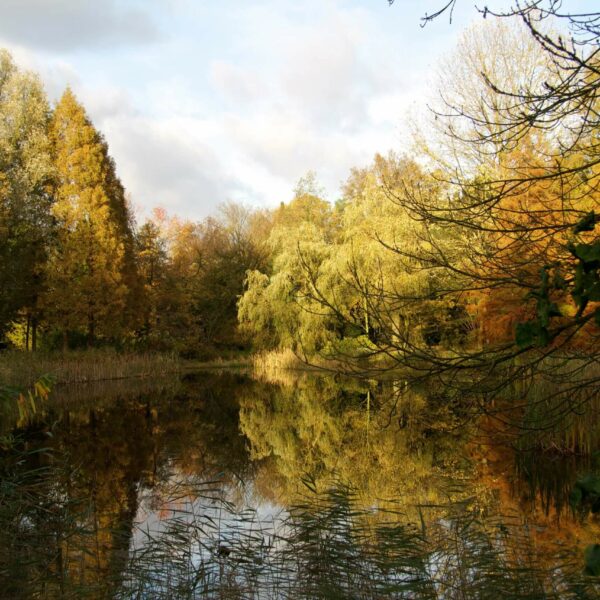 von Gimborn Arboretum