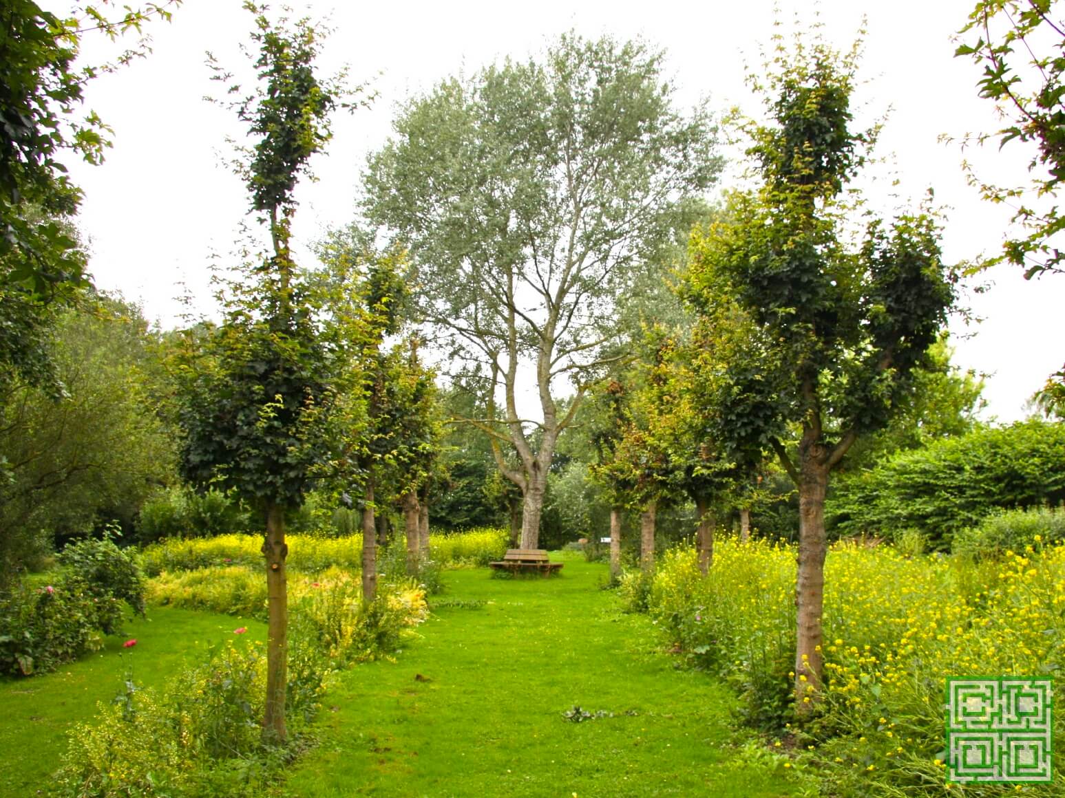 Bomenkapel op het Struweel