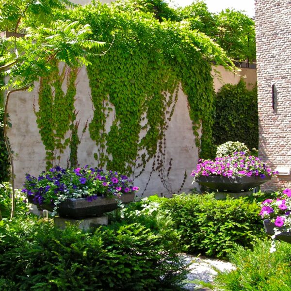Tuin door Ron den Dikken